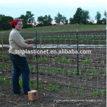 trellis for pole beans